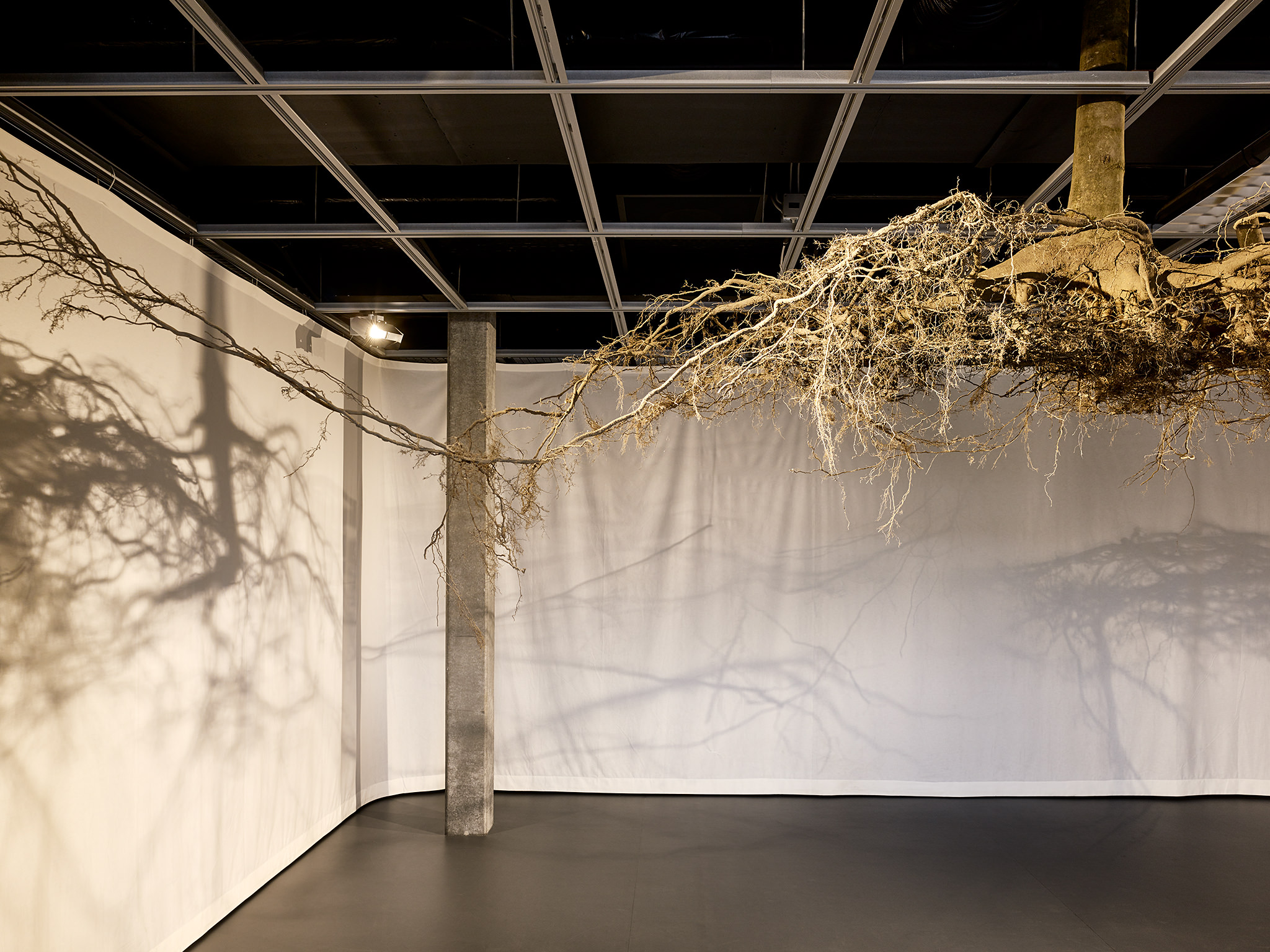 LIVE MATTER - Design Vegetal